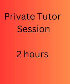 Private Tutor Session
